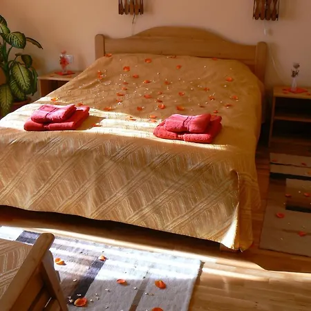 Casa Anca Boutique Guest house