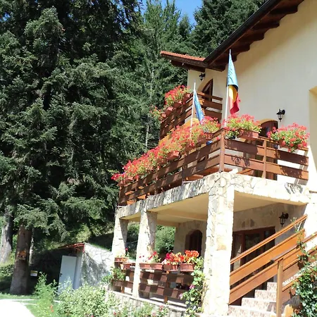 Guest house Casa Anca Boutique 3*