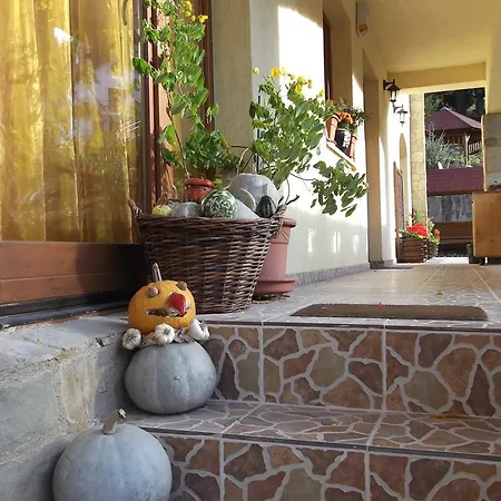 Guest house Casa Anca Boutique 3*