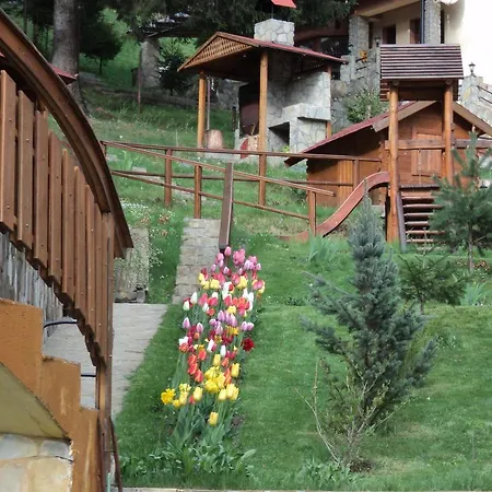 Guest house Casa Anca Boutique