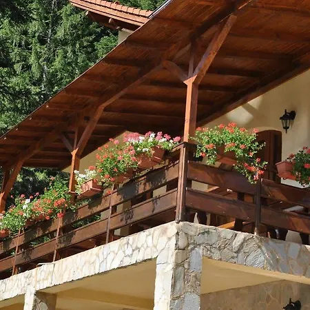 Casa Anca Boutique Timisu de Jos